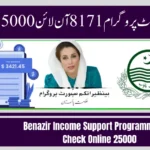 Benazir Income Support Programme 8171 Check Online 25000