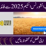 Punjab Crop Insurance Scheme 2025 – Online Apply & Benefits for Farmers
