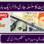 Pakistani Rupee Extends Winning Streak — 26 Days Strong Against Dollar