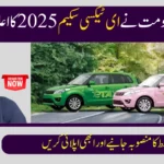 Punjab Govt Announces E-Taxi Scheme 2025 | Installment Plan & Balloting Details