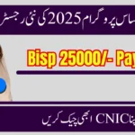 8171 Ehsaas Program 2025 – New Registration & CNIC Check Guide