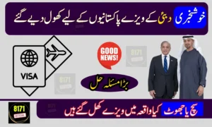 Good News: No Complete UAE Visa Ban for Pakistanis – Full Details