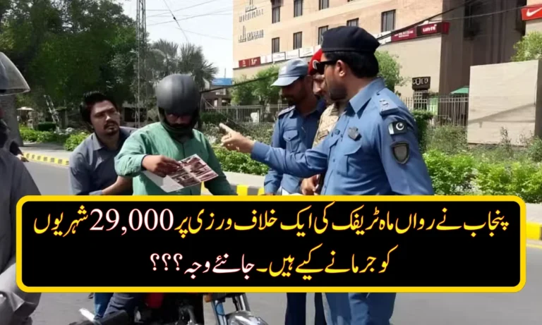 Punjab Police Launch Strict Crackdown on Wrong-Way Driving
