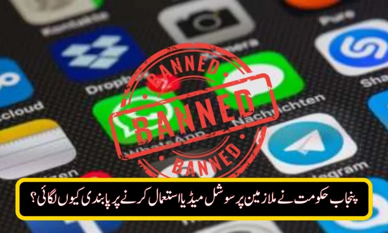 Why Did the Punjab Govt Ban Employees from Using Social Media?