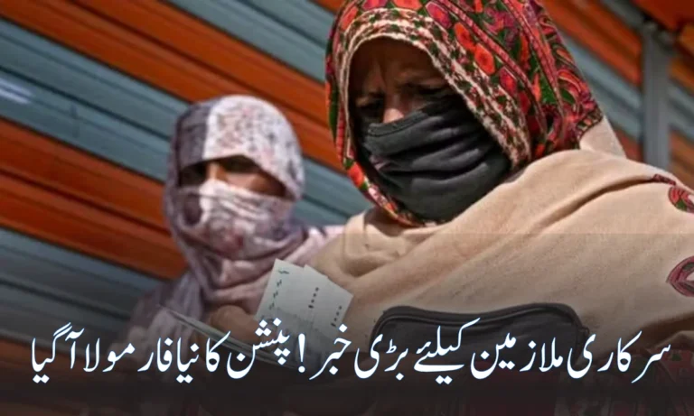 Govt Rolls Out Contribution-Based Pension Scheme for Federal Employees